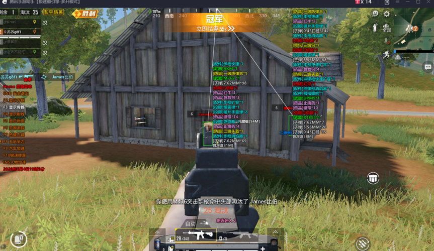 和平精英98k耀虎外挂